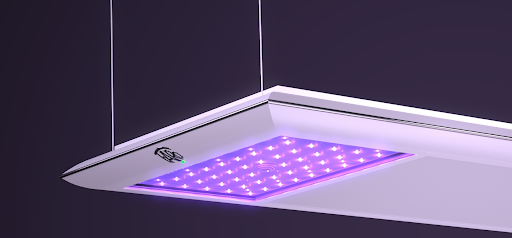 Plafonnier SIDEREA BKL Faro